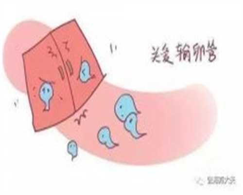 杭州代孕市场，杭州有减肥训练营吗